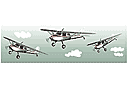 Kulkuvälineet sabluunat - Sessna lentokone