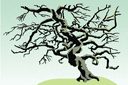 Sapluunat puiden piirtämiseen - Käppyräinen puu