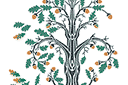 Sapluunat puiden piirtämiseen - Syksyn tammi jugendtyyliin