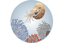Schabloner havsbilder - Skaldjur