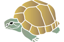 Ritmallar schabloner djur - Sköldpadda 03