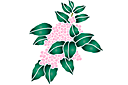 Sabluunat kukkien piirtämiseen - Pinkki hortensia oksa