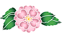 Ruusut sablonit - Terry ruusunmarja 1A