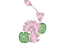 Sabluunat kukkien piirtämiseen - Neljä liljat