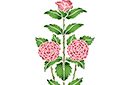 Stenciler olika motiv blommor - Hög ros