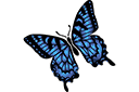 Perhoset ja sudenkorennot sapluunat - Iso ritariperhonen perhoset