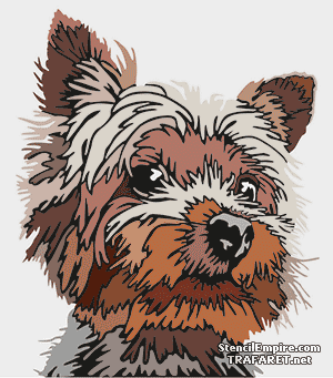 Yorkshire terrier - schablon för dekoration