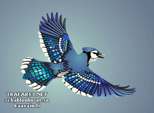 Blue Jay passerine lintu - koristeluun tarkoitettu sapluuna