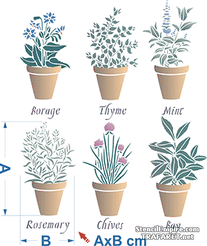 Krukväxter (Stenciler olika motiv blommor)