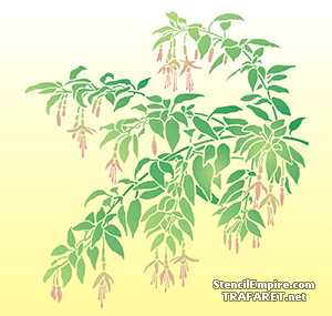 Fuchsia med blad och blommor - schablon för dekoration
