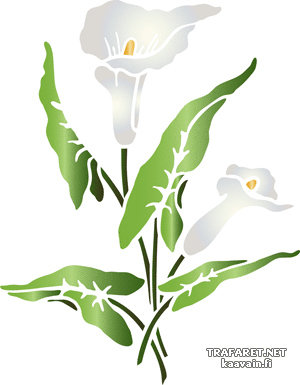 Stora kallaväxter A (Stenciler olika motiv blommor)