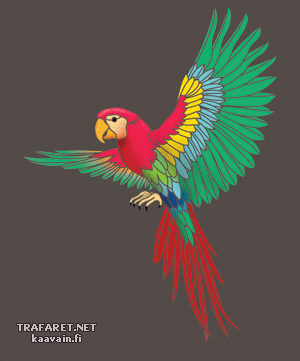 Stor papegoja - schablon för dekoration