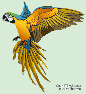 Ara papegoja - schablon för dekoration