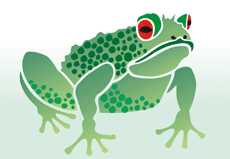 Big Frog - schablon för dekoration