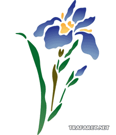 Oriental Iris - schablon för dekoration