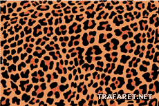 Leopardens fläckar - schablon för dekoration