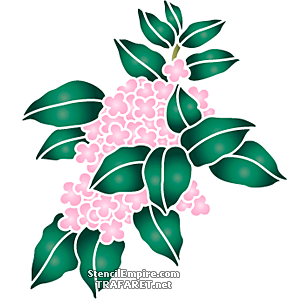 Pinkki hortensia oksa - koristeluun tarkoitettu sapluuna