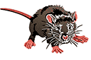 Peloissaan hiiri - eläinten maalaussapluunoita