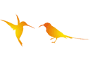 kaksi kolibria - siluetit sabluunat