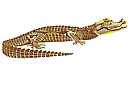 Krokotiili - elävä metsä sablonit