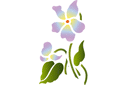 Penséer 70 - stenciler olika motiv blommor Penséer 70 - stenciler olika motiv blommor