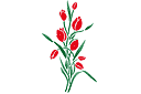 tulppaanikimppu - sabluunat kukkien piirtämiseen