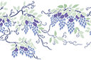 Itäinen vistaria - sabluunat kukkien piirtämiseen