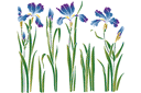 En blomma bädd med iris - stenciler olika motiv blommor