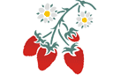 Strawberry - schabloner på trädgårdstema