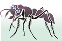 iso muurahainen - hyönteissabluunat