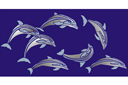 Delfiinit polskivat meressa - meren sabluunat