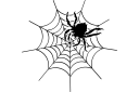 Iso hämähäkki verkossa - hyönteissabluunat