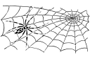 Laiha hämähäkki verkossa - hyönteissabluunat