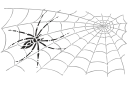 Laiha hämähäkki ja hämähäkinverkko - hyönteissabluunat